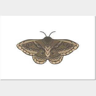 Brown Simplistic Moth Posters and Art